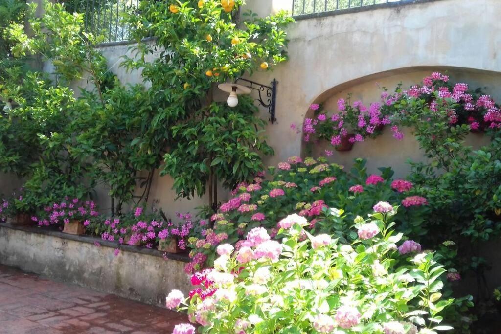 Apartment In Luxuryproperty Privatepool Garden Bbq Airc X8 Castelnuovo Di Porto Extérieur photo